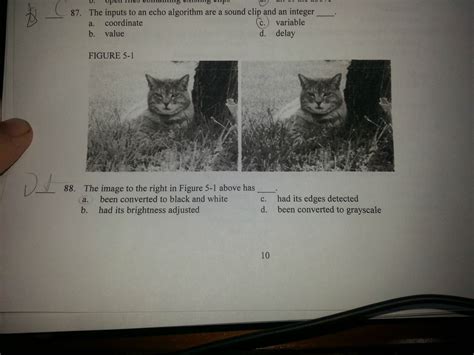 Image result for How to Get Cords in Minecraft Java