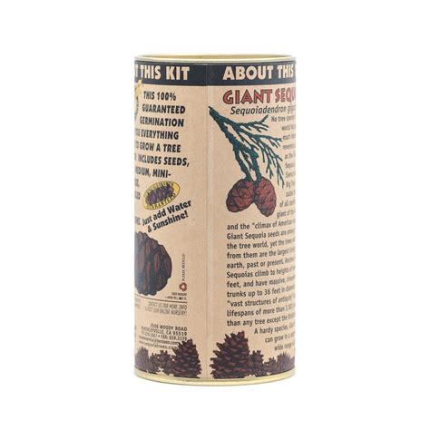 Giant Sequoia | Seed Grow Kit – SequoiaTrees.com