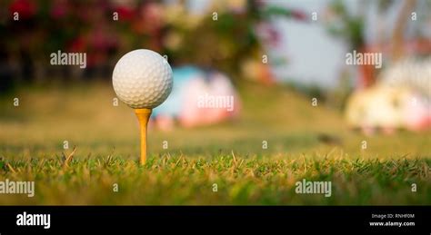 Golf Ball and Tee 的图像结果