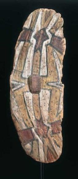 Aboriginal Shields: Regional Designs & Ceremonial Significance