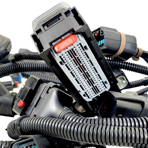 Image result for Engine Control Module Wiring Harness