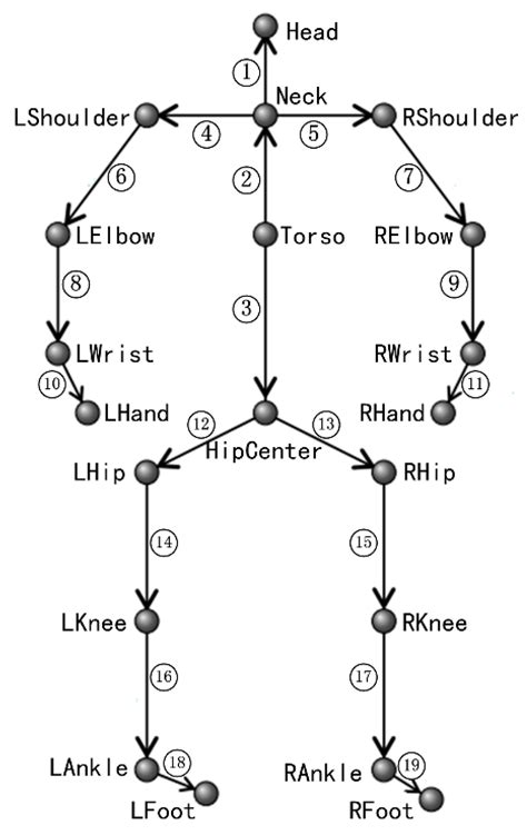 An Online Continuous Human Action Recognition Algorithm Based on the ...