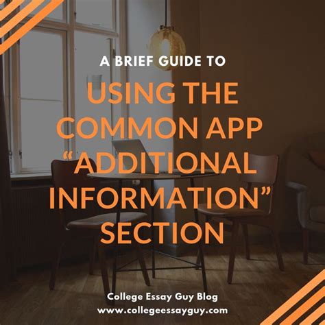Additional Information Application Sample 的图像结果