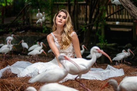 Animal Bride 的图像结果