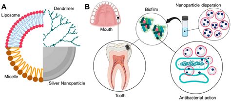 Dental Caries Process PPT What Are The Stages Of Tooth Decay