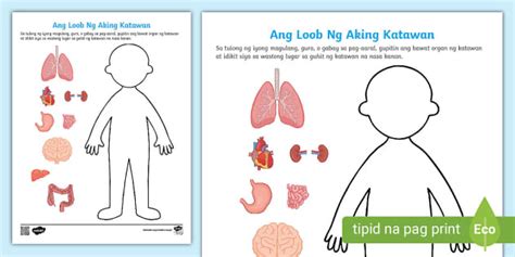 Ang Loob Ng Aking Katawan | Kinder | Twinkl (teacher made)