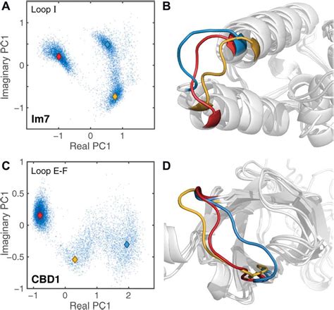 Image result for Complex Movement Loop of Object