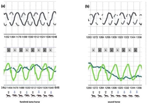Artificial Intelligence for Lameness Detection in Horses—A Preliminary ...