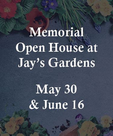 David-Donehower Funeral & Cremation Service