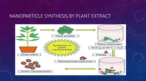 Nanoparticles Synthesis 的图像结果