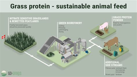 Grassyarn Process 的图像结果