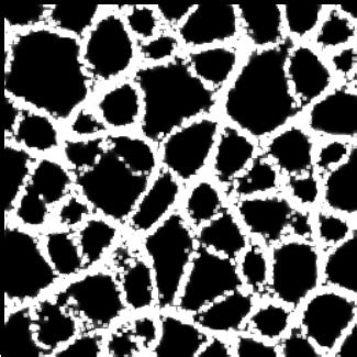 Image result for Slime Simulation JavaScript