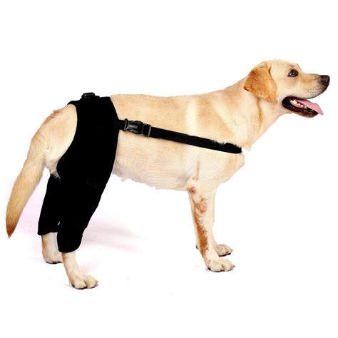 Buy SELMAI 1Pair Dog Leg Brace for Hind Leg, Dog Knee Brace for Back ...