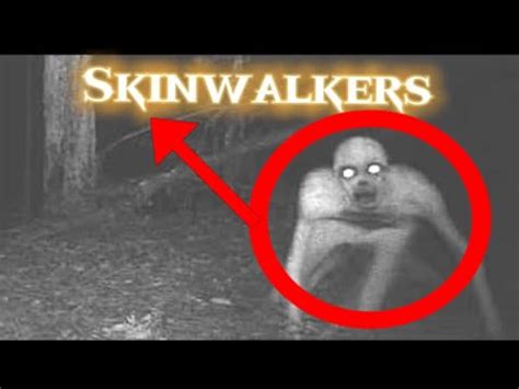 Image result for Descriptive Prescriptive Predictive Explanatory