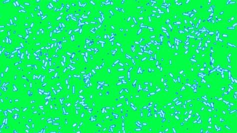 Image result for Bacteria Reproduction Animation