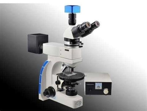 Polarizing Light Microscope 的图像结果