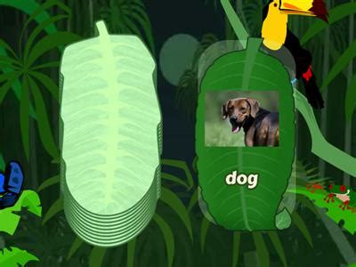 Image result for Naming Objects