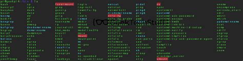 Image result for Linux Root Directory