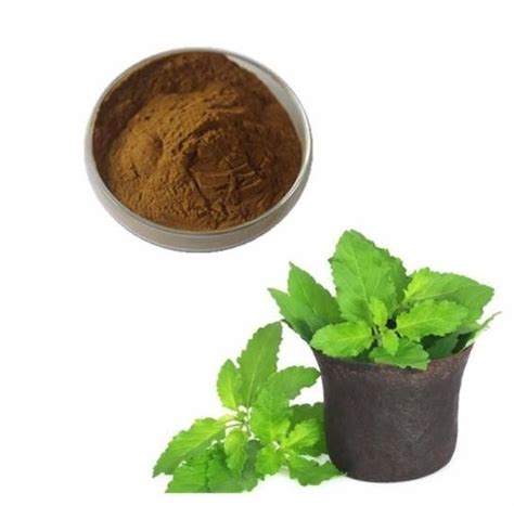 Ocimum Sanctum Extract - Manufacturer Exporter Supplier in Palghar India