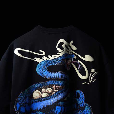 Black Hiss T-Shirt - Buy Oversized Black Hiss T-Shirt Online | BLUORNG