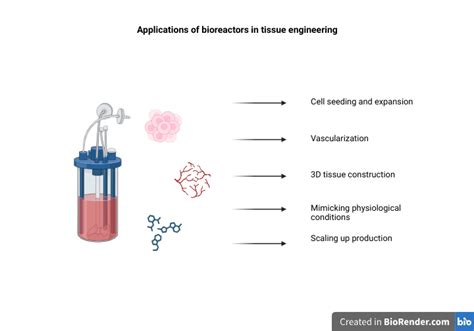 Image result for Tissue Engineering Bioreactor