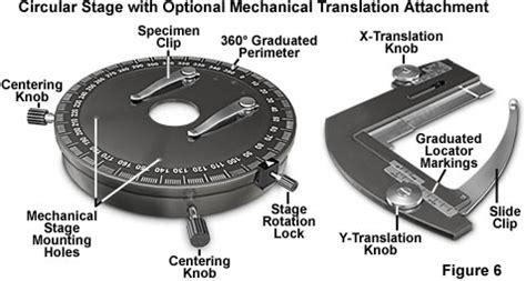 Polarizing Light Microscope 的图像结果