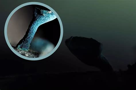 Alien Invasion Hudson Valley 2021 的图像结果