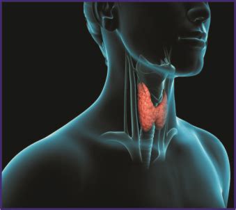 Al Noor Medical Toursim