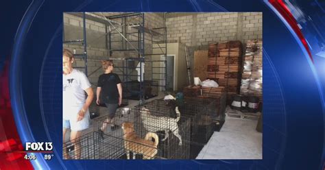 Suncoast Animal League deploys team to Bahamas | FOX 35 Orlando