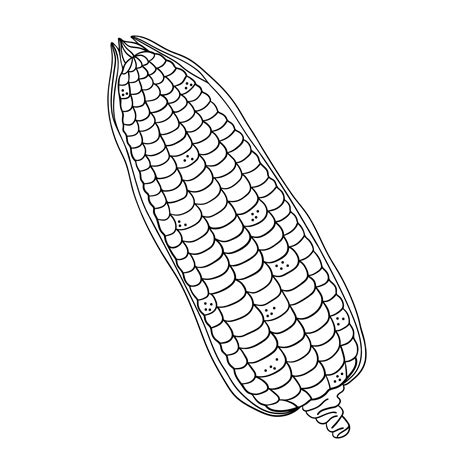 Corn On The Cob Clip Art Black And White