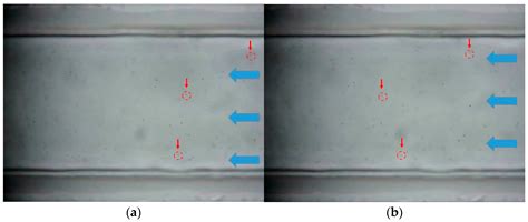A Study on the Flow Characteristics of Copper Heavy Metal Microfluidics ...