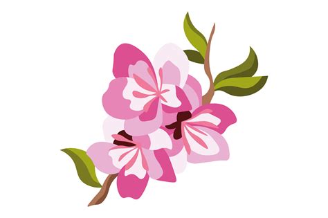 Delaware State Flower - Prunus Persica SVG Cut file by Creative Fabrica ...