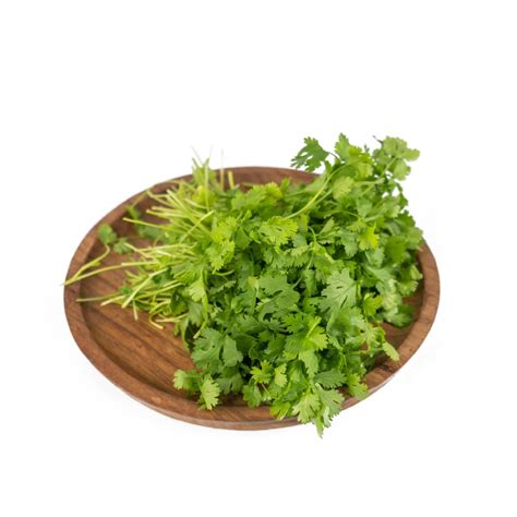 Gourmet Garden Organic Coriander (Root cut), 100gm : Amazon.in: Grocery ...