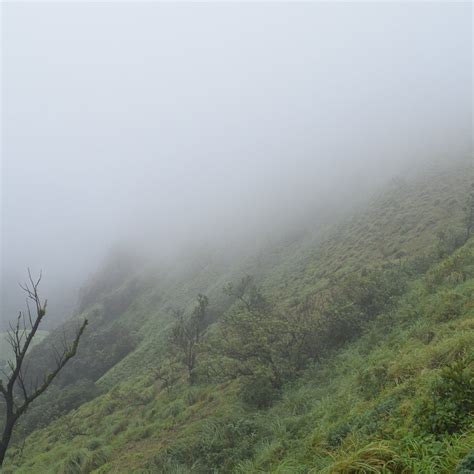 COORG NISHANI HILLS (Madikeri) - Lodge Reviews & Photos - Tripadvisor
