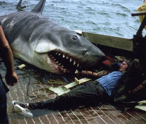 【图】大白鲨电影简介 呈现一道完美的恐怖大餐_欧美片场_电影-超级明星