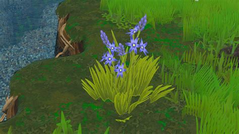 Camas - Eco - English Wiki