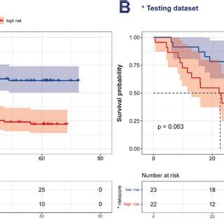 Image result for Survival Analysis Example