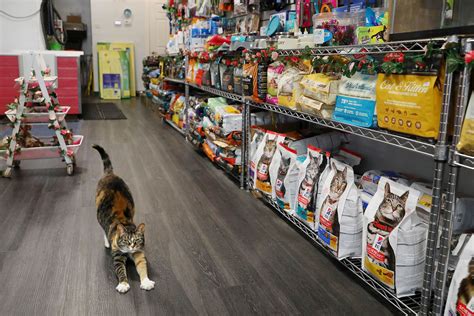Pet Store Near Tacoma Mall at Bryan Riggs blog