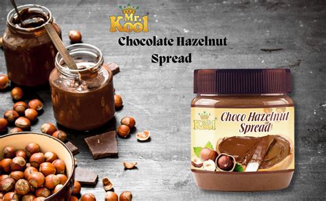 Mr.Kool Chocolate Hazelnut Spread 350g : Amazon.in: Grocery & Gourmet Foods