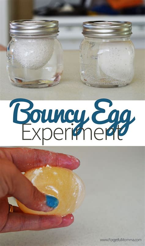 Bouncy Egg Experiment - Eggs in Vinegar | Egg experiments, Science ...