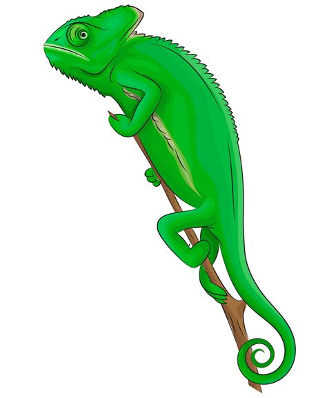 Chameleon Clipart Collection for Kids and Adults