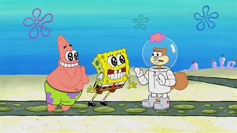 Spongebob season 9 full episodes - sapjeski