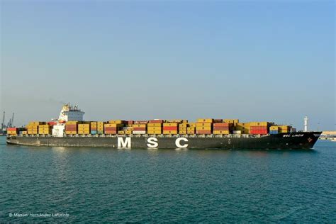 ROMAN, Container Ship - Detalles del buque y posición actual - IMO ...