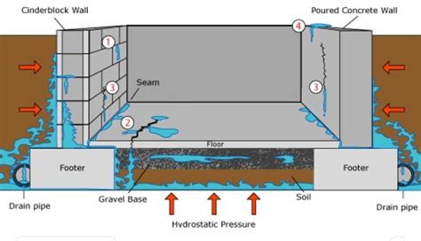 - Movement of fluid through a partition containing small holes    - Hydrostatic pressure: forces water across a membrane- Occurs across walls of small blood vessels, pushing water and dissolved nutrients into the tissues of the body explain