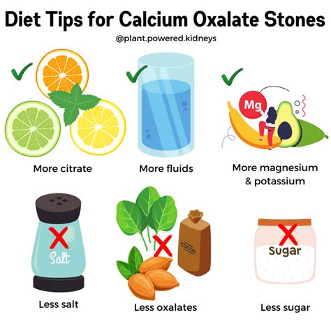 How To Prevent Kidney Stones