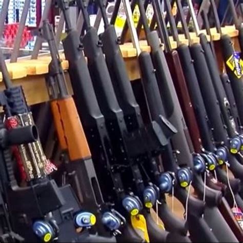 Are Dogs Allowed In Kittery Trading Post