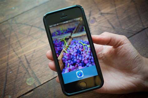 Tutorial for iOS 8 的图像结果
