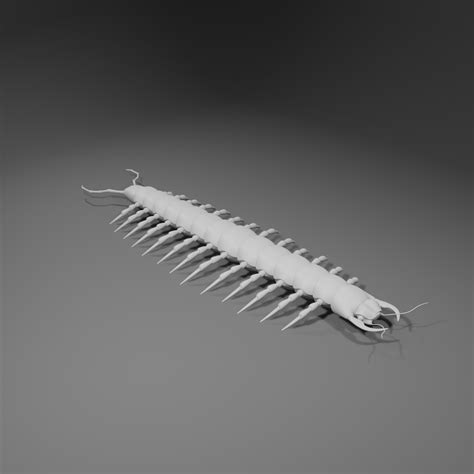 ArtStation - Centipedes