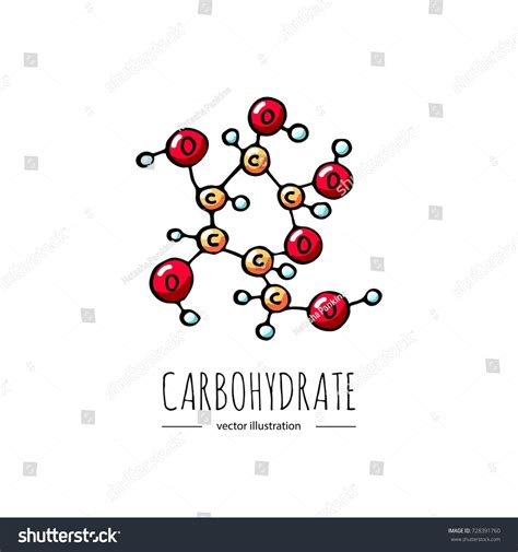 Carbohydrates Examples Drawing at Michele Fields blog