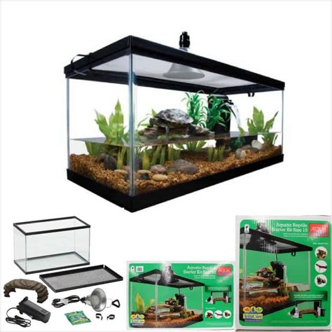 Best Turtle Tank Setup: The Definitive Guide - Expert Aquarist
